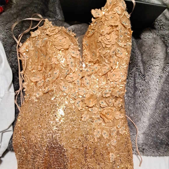 Prom/Hoco dress champagne size small